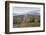 USA, New Hampshire, White Mountains, Bretton Woods, Mount Washington Cog Railway-Walter Bibikow-Framed Photographic Print