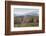 USA, New Hampshire, White Mountains, Bretton Woods, Mount Washington Cog Railway-Walter Bibikow-Framed Photographic Print