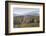 USA, New Hampshire, White Mountains, Bretton Woods, Mount Washington Cog Railway-Walter Bibikow-Framed Photographic Print