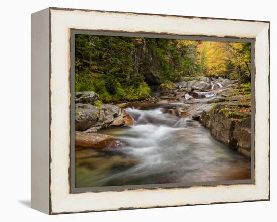 USA, New Hampshire, White Mountains, Fall at Jefferson Brook-Ann Collins-Framed Premier Image Canvas