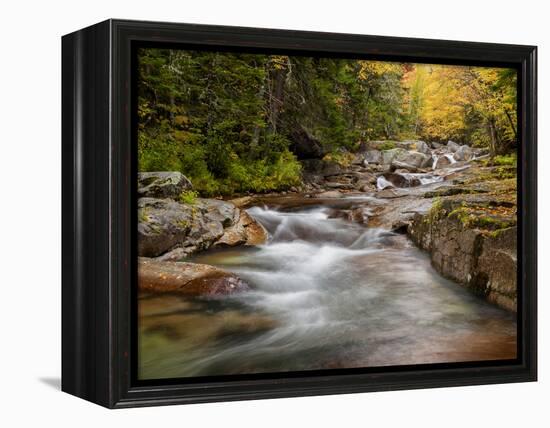 USA, New Hampshire, White Mountains, Fall at Jefferson Brook-Ann Collins-Framed Premier Image Canvas