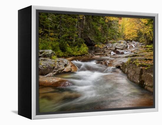 USA, New Hampshire, White Mountains, Fall at Jefferson Brook-Ann Collins-Framed Premier Image Canvas