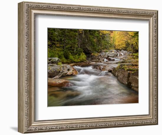 USA, New Hampshire, White Mountains, Fall at Jefferson Brook-Ann Collins-Framed Photographic Print