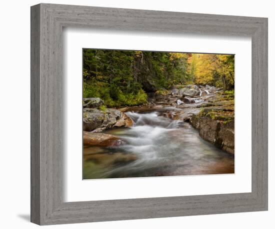 USA, New Hampshire, White Mountains, Fall at Jefferson Brook-Ann Collins-Framed Photographic Print