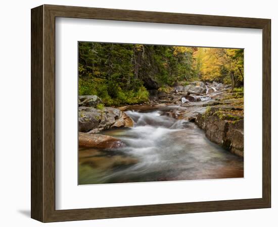 USA, New Hampshire, White Mountains, Fall at Jefferson Brook-Ann Collins-Framed Photographic Print