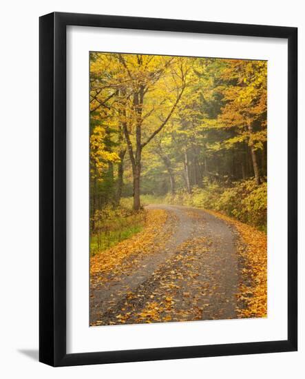 USA, New Hampshire, White Mountains, Fall color along Jefferson Notch Road-Ann Collins-Framed Photographic Print