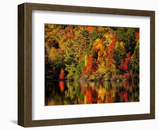 USA, New Hampshire, White Mountains, Fall reflection on Russell Pond-Ann Collins-Framed Photographic Print