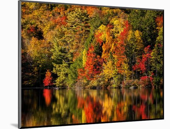 USA, New Hampshire, White Mountains, Fall reflection on Russell Pond-Ann Collins-Mounted Photographic Print