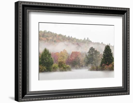 USA, New Hampshire, White Mountains, Fog drifting around Coffin Pond-Ann Collins-Framed Photographic Print