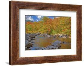 USA, New Hampshire, White Mountains National Forest and Swift River along Highway 112 in Autumn-Sylvia Gulin-Framed Photographic Print