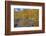 USA, New Hampshire, White Mountains National Forest and Swift River along Highway 112 in Autumn-Sylvia Gulin-Framed Photographic Print