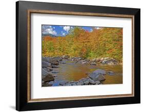 USA, New Hampshire, White Mountains National Forest and Swift River along Highway 112 in Autumn-Sylvia Gulin-Framed Photographic Print