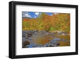 USA, New Hampshire, White Mountains National Forest and Swift River along Highway 112 in Autumn-Sylvia Gulin-Framed Photographic Print