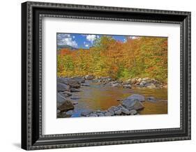 USA, New Hampshire, White Mountains National Forest and Swift River along Highway 112 in Autumn-Sylvia Gulin-Framed Photographic Print