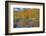 USA, New Hampshire, White Mountains National Forest and Swift River along Highway 112 in Autumn-Sylvia Gulin-Framed Photographic Print