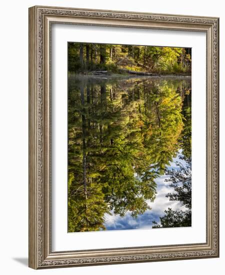 USA, New Hampshire, White Mountains, Reflections in Red Eagle Pond-Ann Collins-Framed Photographic Print