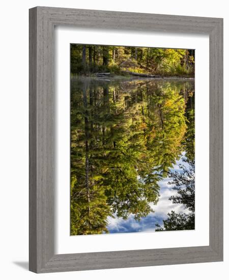USA, New Hampshire, White Mountains, Reflections in Red Eagle Pond-Ann Collins-Framed Photographic Print