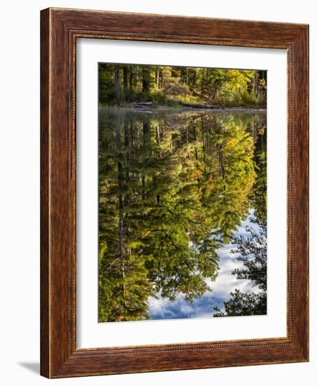 USA, New Hampshire, White Mountains, Reflections in Red Eagle Pond-Ann Collins-Framed Photographic Print