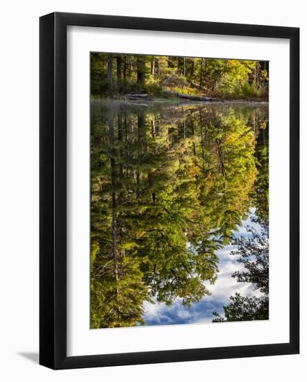 USA, New Hampshire, White Mountains, Reflections in Red Eagle Pond-Ann Collins-Framed Photographic Print