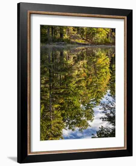 USA, New Hampshire, White Mountains, Reflections in Red Eagle Pond-Ann Collins-Framed Photographic Print