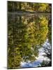 USA, New Hampshire, White Mountains, Reflections in Red Eagle Pond-Ann Collins-Mounted Photographic Print