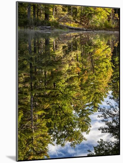 USA, New Hampshire, White Mountains, Reflections in Red Eagle Pond-Ann Collins-Mounted Photographic Print