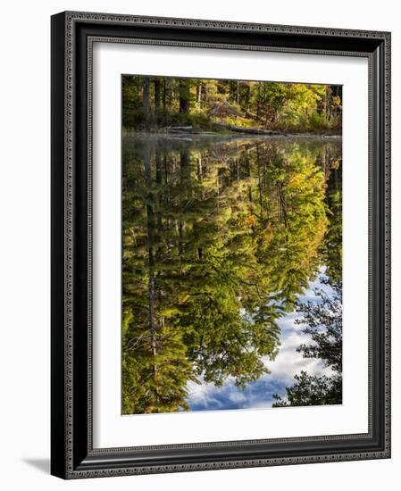 USA, New Hampshire, White Mountains, Reflections in Red Eagle Pond-Ann Collins-Framed Photographic Print