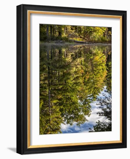 USA, New Hampshire, White Mountains, Reflections in Red Eagle Pond-Ann Collins-Framed Photographic Print