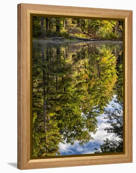 USA, New Hampshire, White Mountains, Reflections in Red Eagle Pond-Ann Collins-Framed Premier Image Canvas