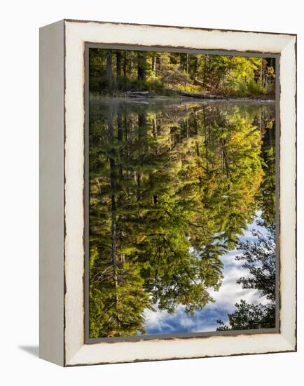 USA, New Hampshire, White Mountains, Reflections in Red Eagle Pond-Ann Collins-Framed Premier Image Canvas