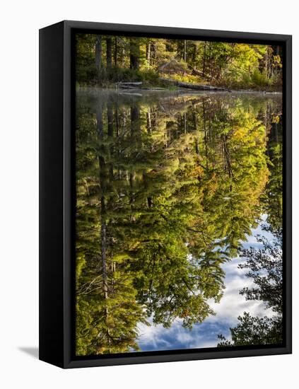 USA, New Hampshire, White Mountains, Reflections in Red Eagle Pond-Ann Collins-Framed Premier Image Canvas