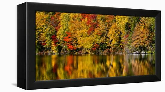 USA, New Hampshire, White Mountains, Reflections on Russell Pond-Ann Collins-Framed Premier Image Canvas