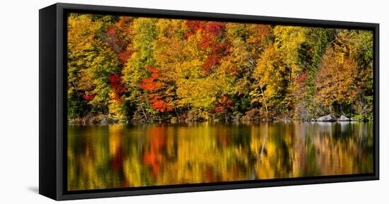 USA, New Hampshire, White Mountains, Reflections on Russell Pond-Ann Collins-Framed Premier Image Canvas