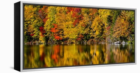 USA, New Hampshire, White Mountains, Reflections on Russell Pond-Ann Collins-Framed Premier Image Canvas