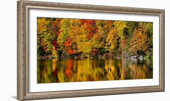 USA, New Hampshire, White Mountains, Reflections on Russell Pond-Ann Collins-Framed Photographic Print