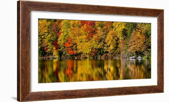 USA, New Hampshire, White Mountains, Reflections on Russell Pond-Ann Collins-Framed Photographic Print