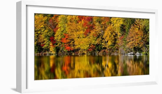 USA, New Hampshire, White Mountains, Reflections on Russell Pond-Ann Collins-Framed Photographic Print