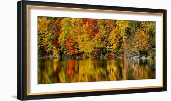 USA, New Hampshire, White Mountains, Reflections on Russell Pond-Ann Collins-Framed Photographic Print