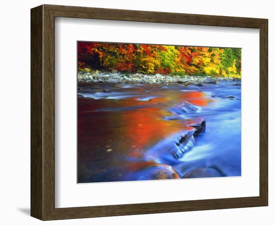 USA, New Hampshire, White Mountains, Swift River in Autumn Colors-Jaynes Gallery-Framed Photographic Print