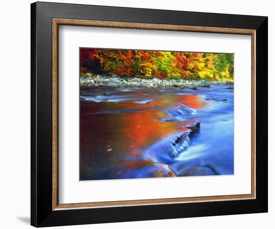 USA, New Hampshire, White Mountains, Swift River in Autumn Colors-Jaynes Gallery-Framed Photographic Print