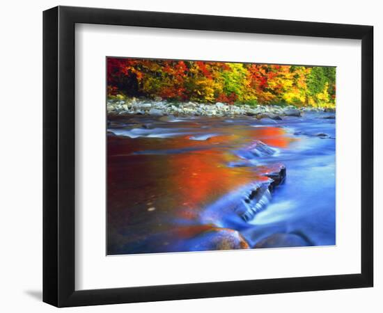 USA, New Hampshire, White Mountains, Swift River in Autumn Colors-Jaynes Gallery-Framed Photographic Print