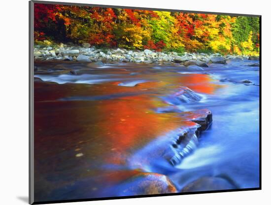 USA, New Hampshire, White Mountains, Swift River in Autumn Colors-Jaynes Gallery-Mounted Photographic Print