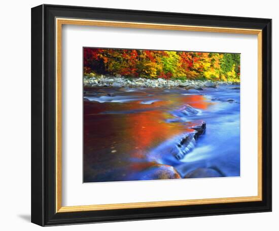 USA, New Hampshire, White Mountains, Swift River in Autumn Colors-Jaynes Gallery-Framed Photographic Print