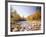 USA, New Hampshire, White Mountains, Swift River, Landscape, Autumn-Thonig-Framed Photographic Print