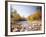 USA, New Hampshire, White Mountains, Swift River, Landscape, Autumn-Thonig-Framed Photographic Print