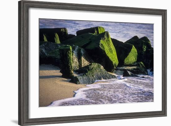 USA, New Jersey, Bay Head-Alison Jones-Framed Photographic Print