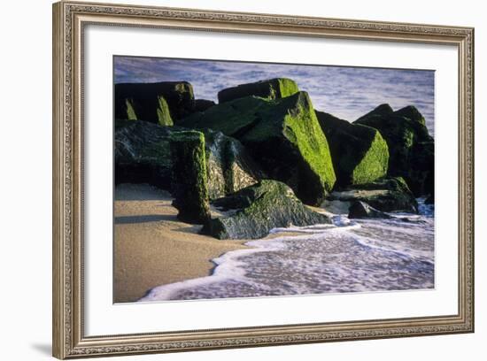 USA, New Jersey, Bay Head-Alison Jones-Framed Photographic Print