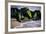 USA, New Jersey, Bay Head-Alison Jones-Framed Photographic Print