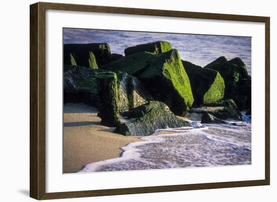 USA, New Jersey, Bay Head-Alison Jones-Framed Photographic Print