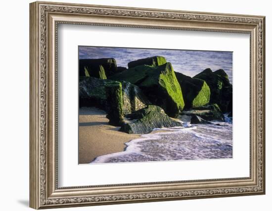 USA, New Jersey, Bay Head-Alison Jones-Framed Photographic Print